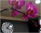Administrative Offices