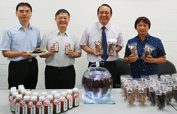成功開發可食用海藻養殖技術