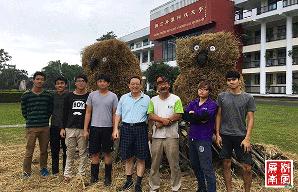 牧草藝術季節慶裝置藝術
