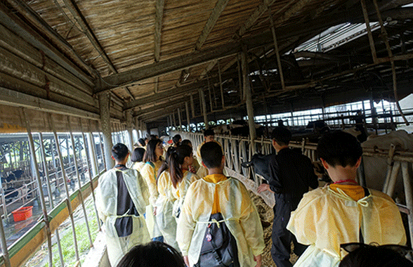 新南向假日學校開幕