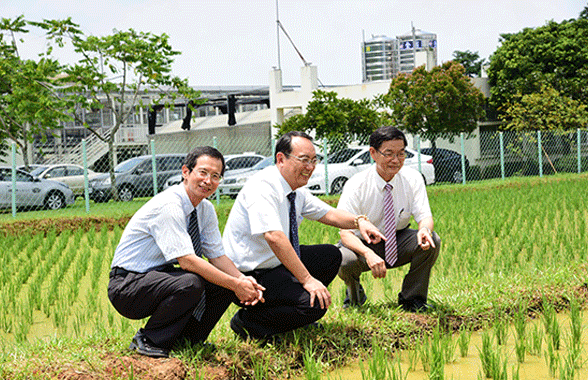 有機農業教父王鐘和教授榮獲十大農業專家