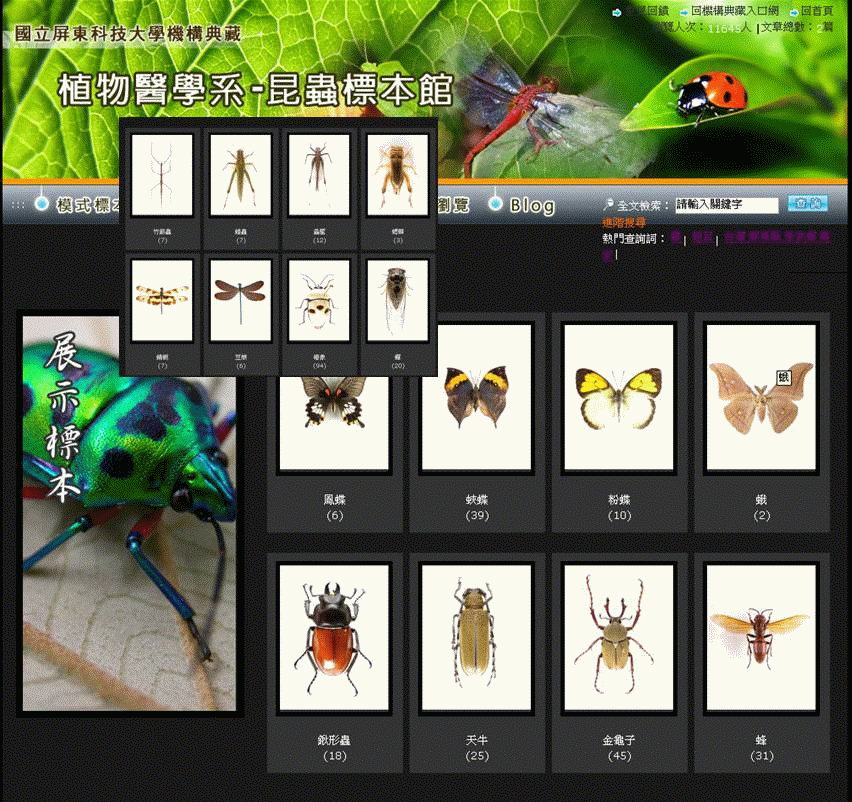 NPUST機構典藏-昆蟲標本數位館
